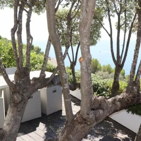 Belle A Avec Piscine Et Vue - Fr-1-100-228 * Cavalaire-sur-Mer